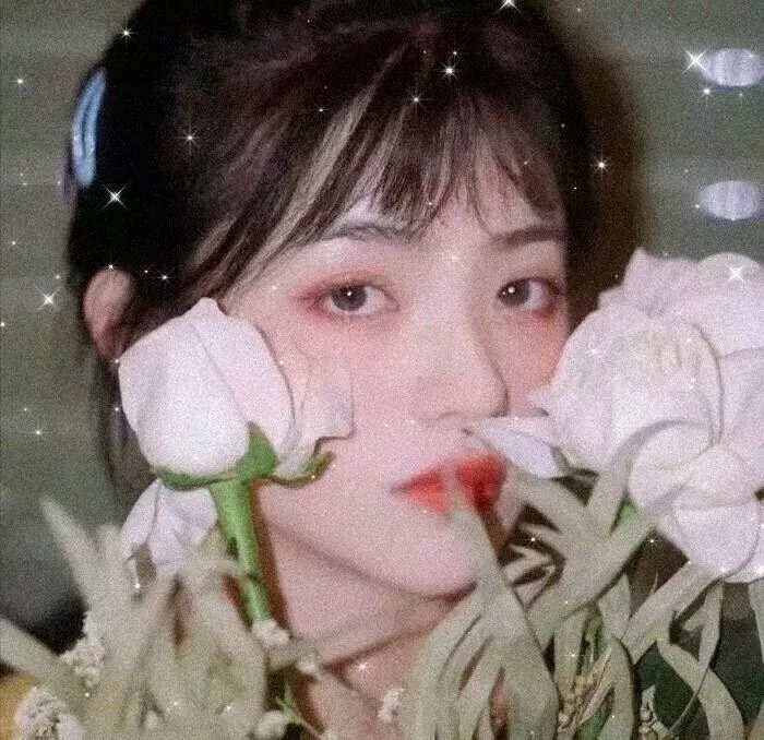 深锁春光一院愁